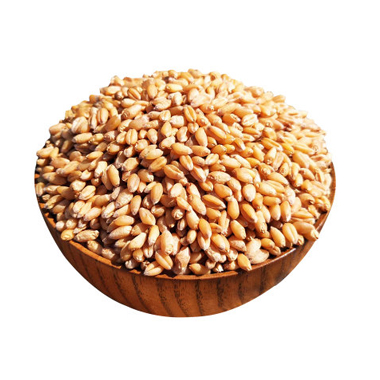 绿豆5斤当季新绿豆坝上农家自种绿豆绿豆汤绿豆沙发芽活绿豆